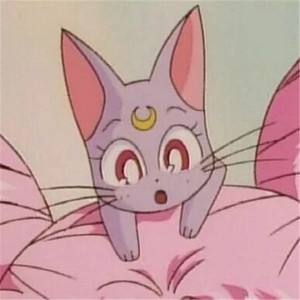 400部酒店情侣偷拍视频
