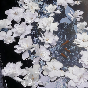 400部酒店情侣偷拍视频
